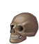 Scull.png